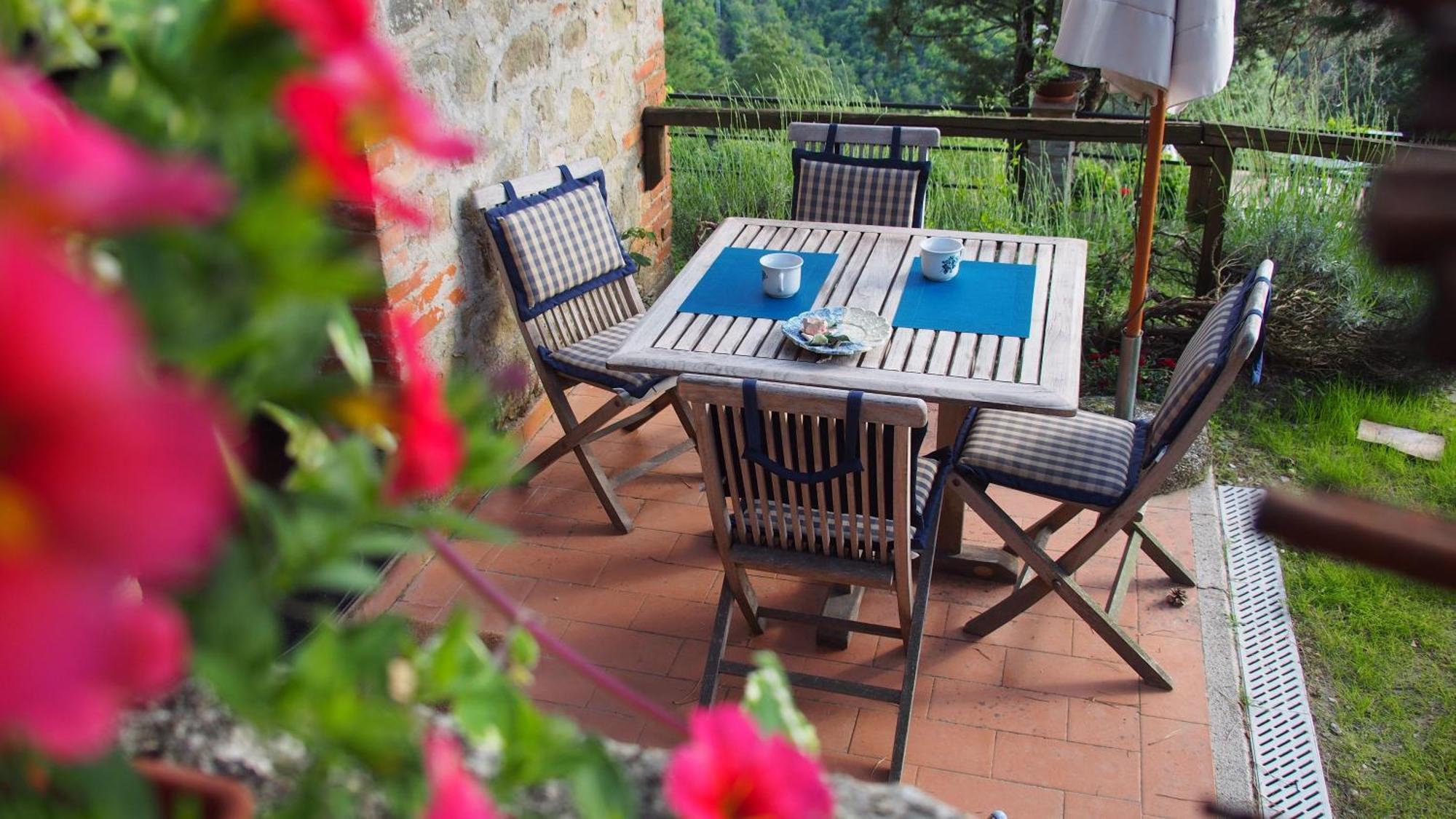 Podere L'Aquila Apartment Gaiole in Chianti Phòng bức ảnh