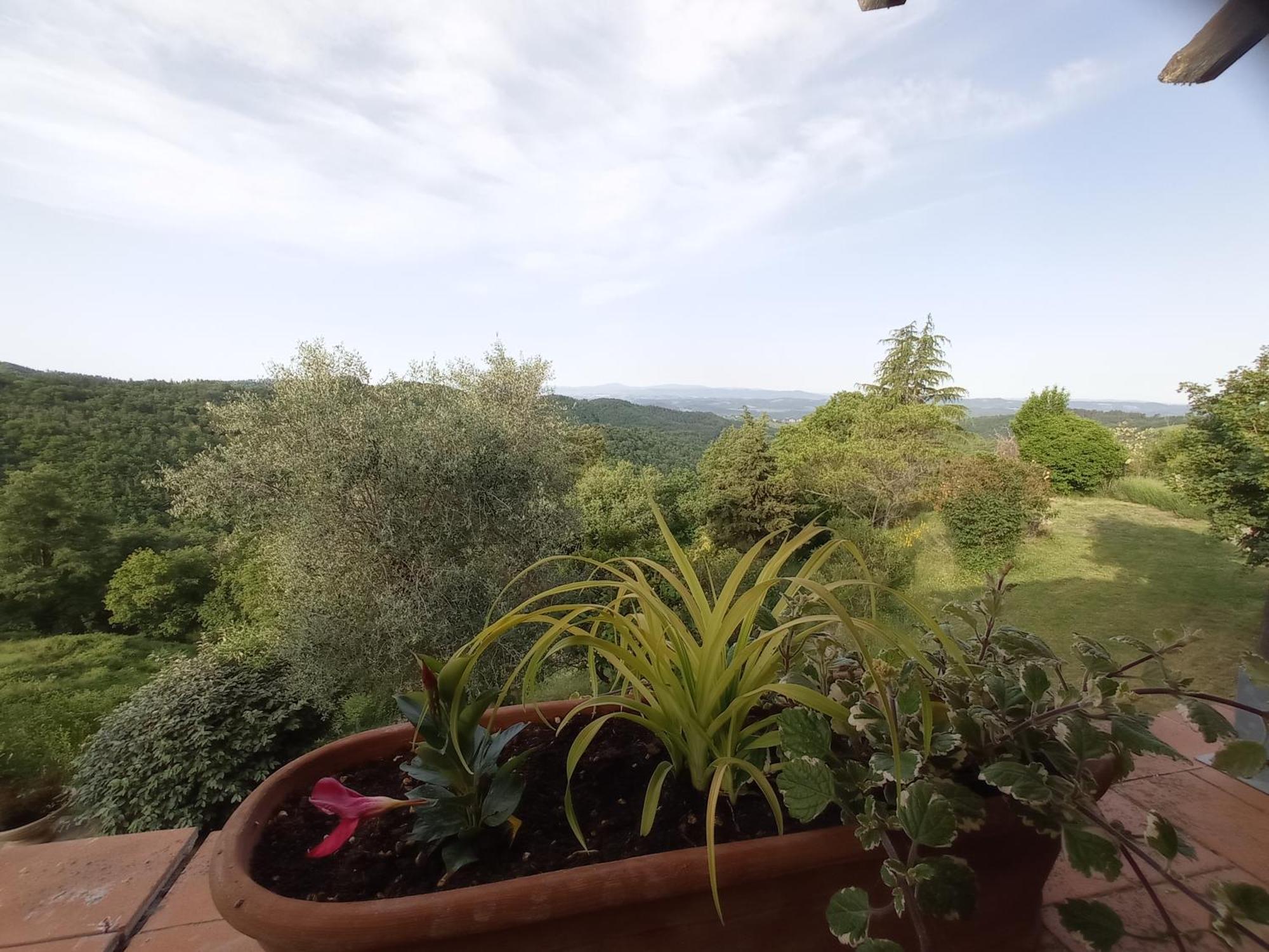 Podere L'Aquila Gaiole in Chianti Phòng bức ảnh